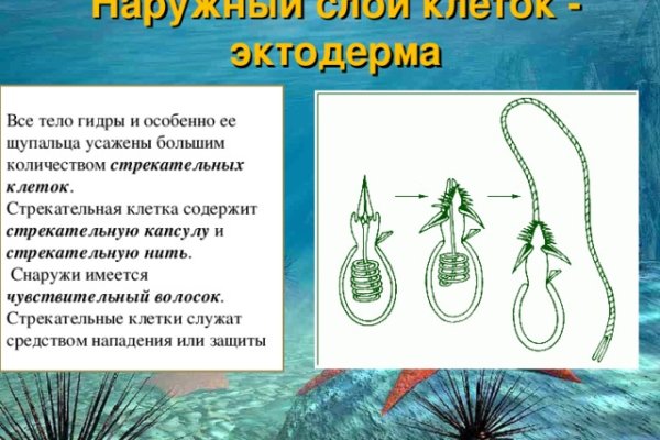 Кракен вход kr2web in